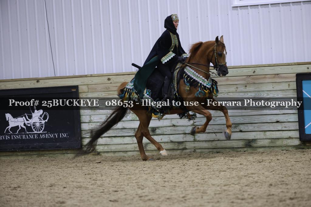 Proof Number 25BUCKEYE_08653