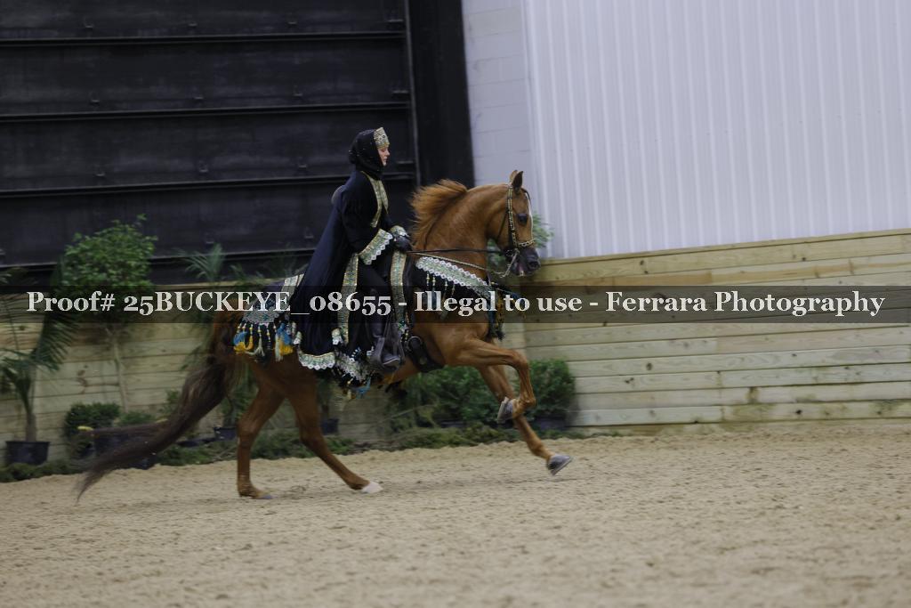 Proof Number 25BUCKEYE_08655