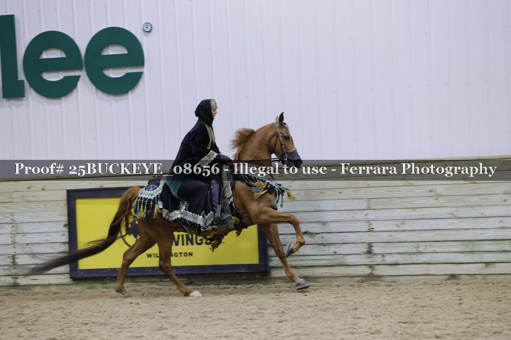 Proof Number 25BUCKEYE_08656