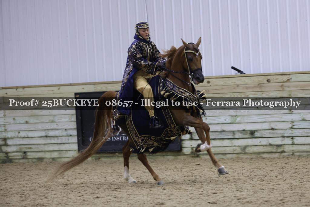 Proof Number 25BUCKEYE_08657