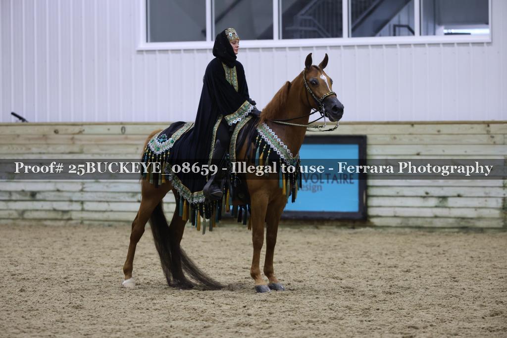 Proof Number 25BUCKEYE_08659