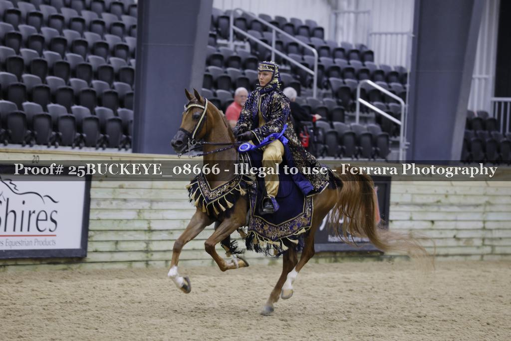 Proof Number 25BUCKEYE_08666