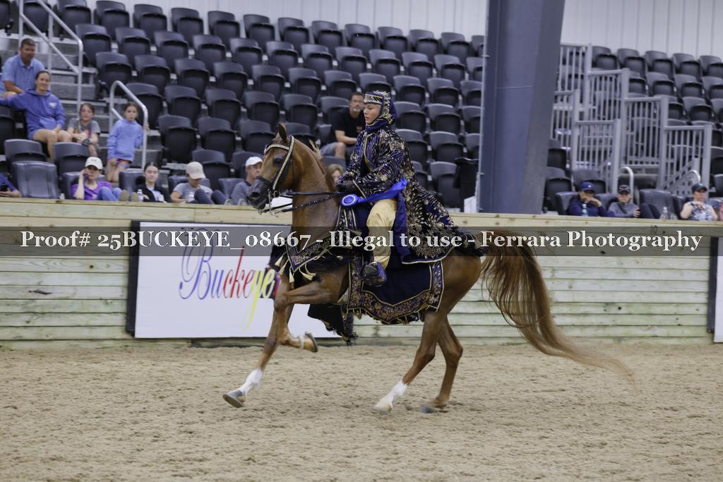 Proof Number 25BUCKEYE_08667