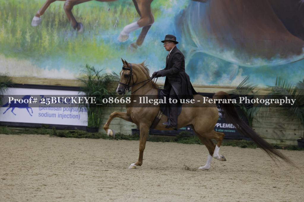 Proof Number 25BUCKEYE_08668