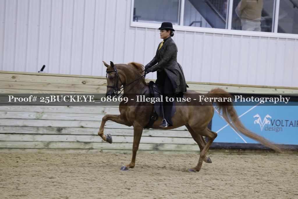 Proof Number 25BUCKEYE_08669