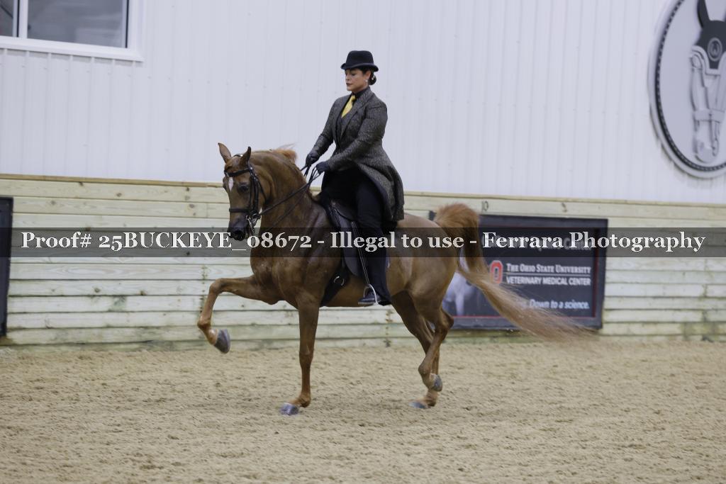 Proof Number 25BUCKEYE_08672