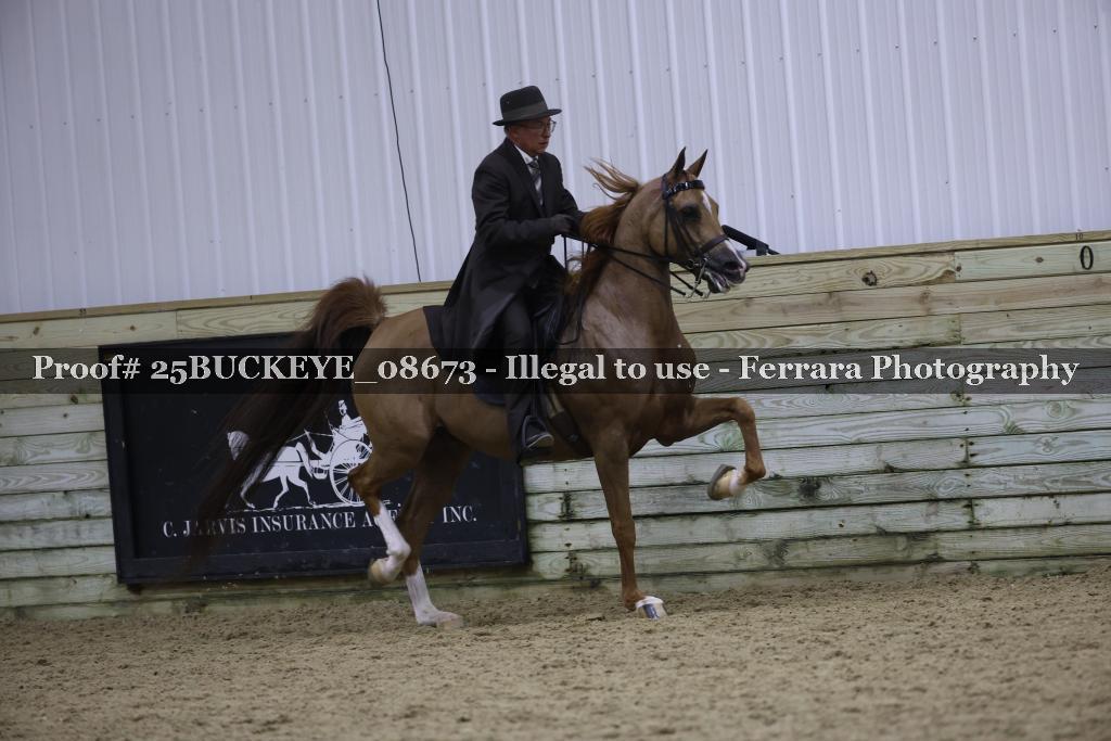 Proof Number 25BUCKEYE_08673