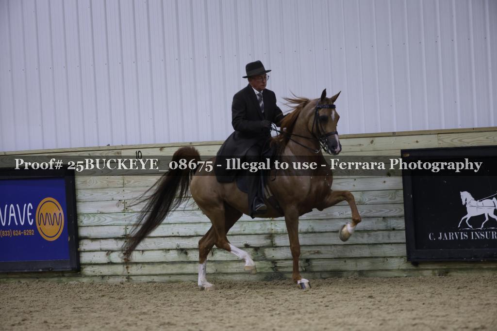 Proof Number 25BUCKEYE_08675
