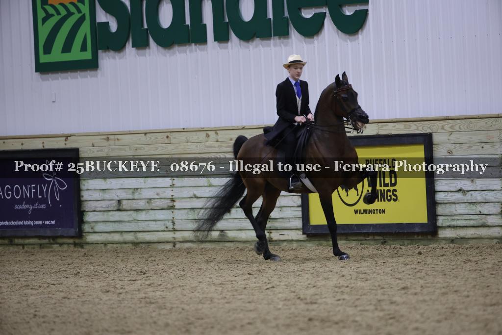 Proof Number 25BUCKEYE_08676