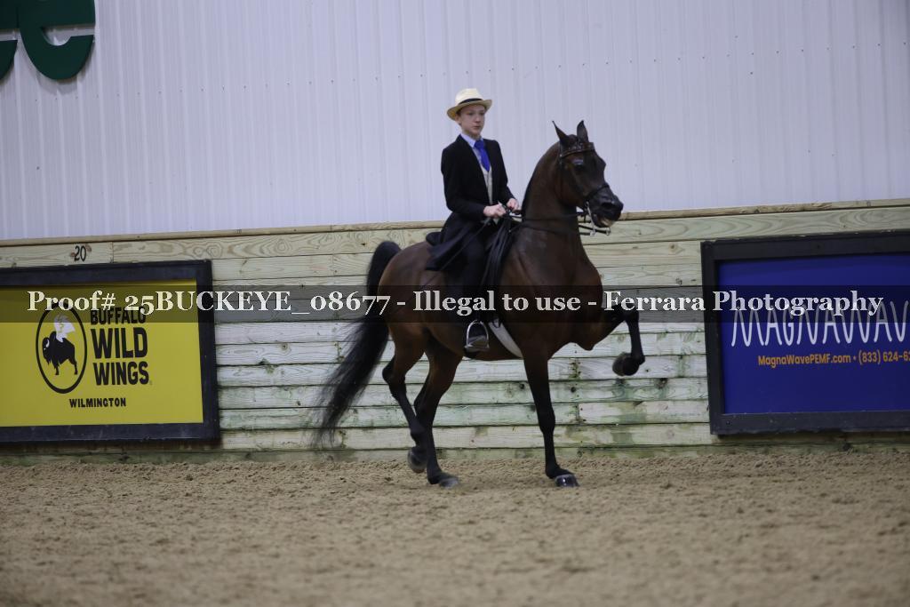 Proof Number 25BUCKEYE_08677