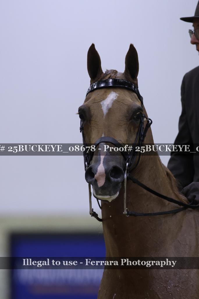 Proof Number 25BUCKEYE_08678