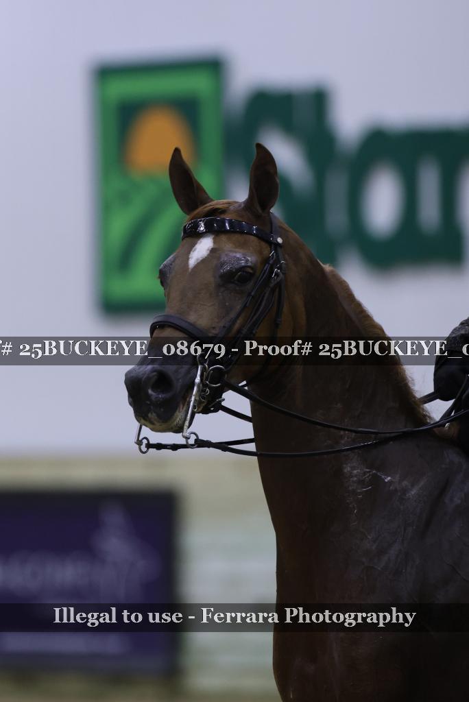 Proof Number 25BUCKEYE_08679