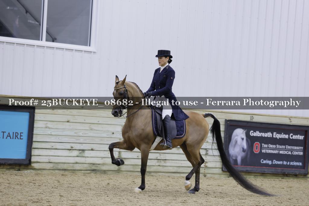 Proof Number 25BUCKEYE_08682
