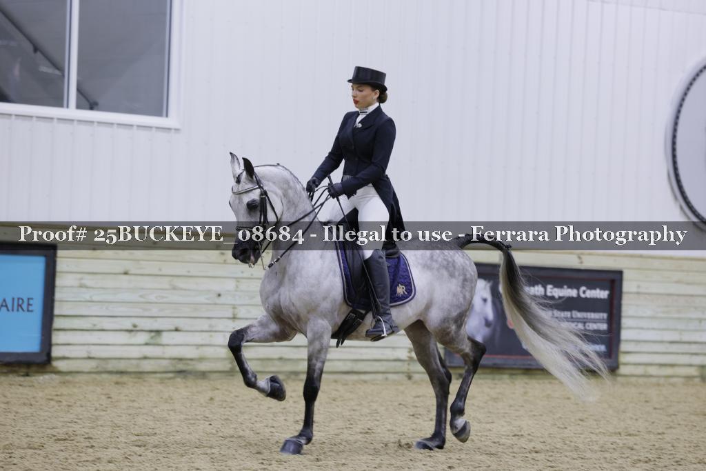 Proof Number 25BUCKEYE_08684
