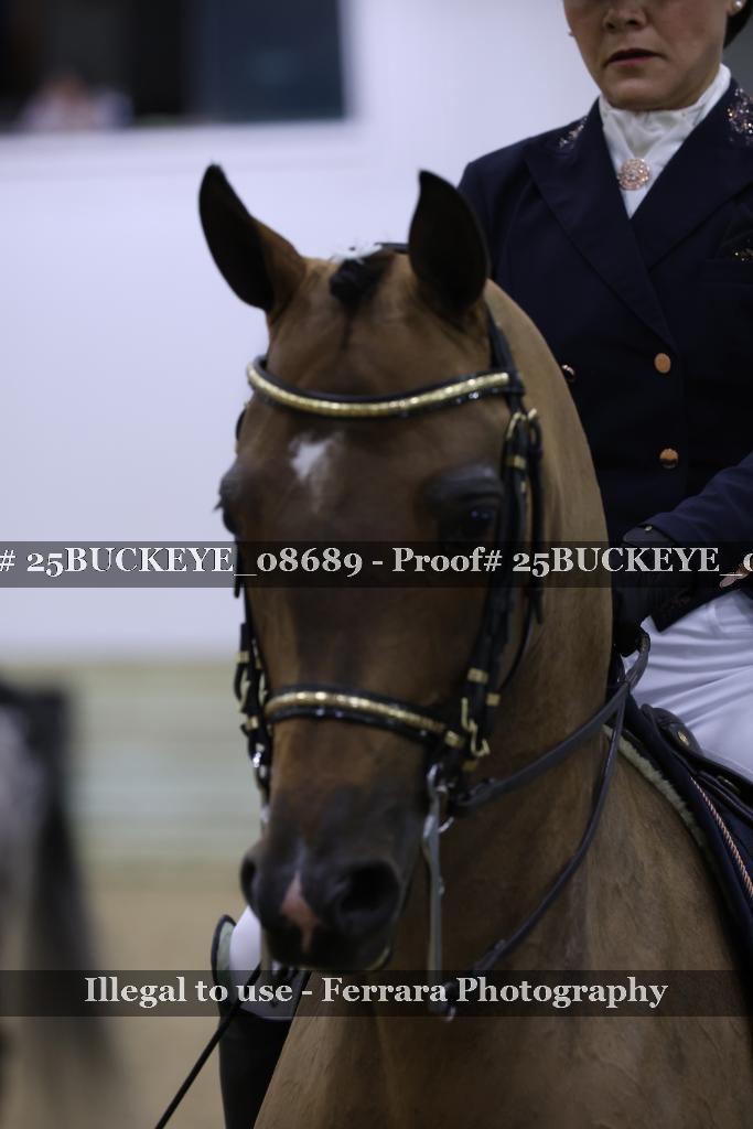 Proof Number 25BUCKEYE_08689