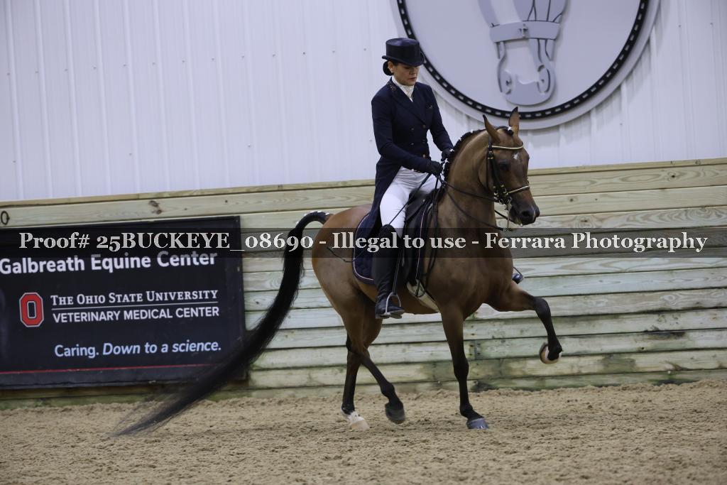 Proof Number 25BUCKEYE_08690