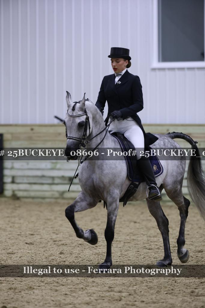 Proof Number 25BUCKEYE_08696
