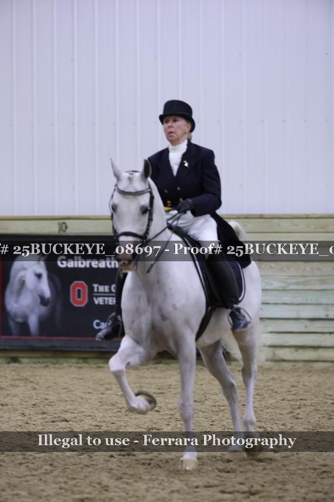 Proof Number 25BUCKEYE_08697