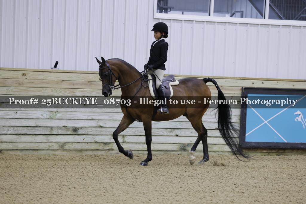 Proof Number 25BUCKEYE_08703