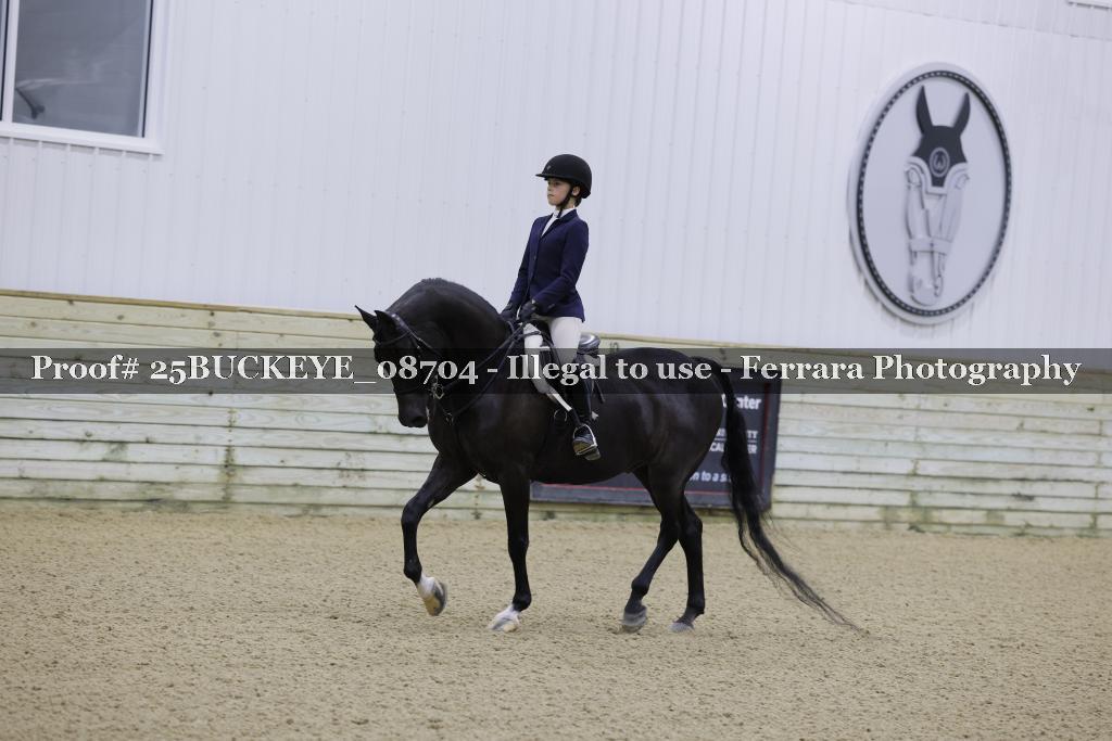 Proof Number 25BUCKEYE_08704