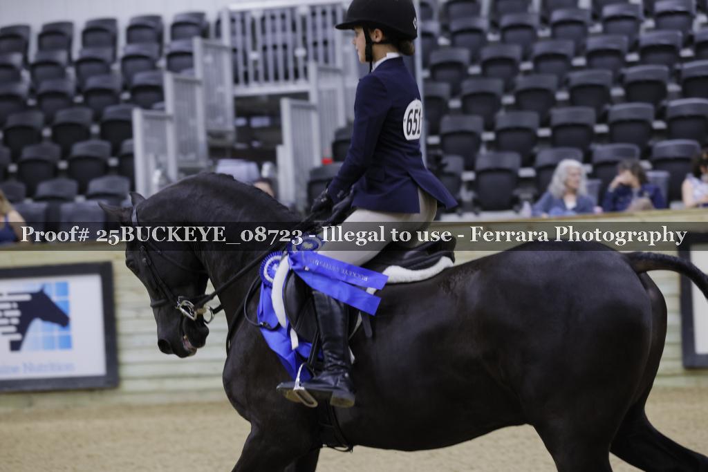 Proof Number 25BUCKEYE_08723