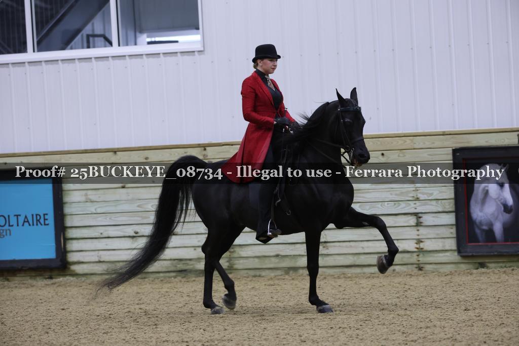 Proof Number 25BUCKEYE_08734