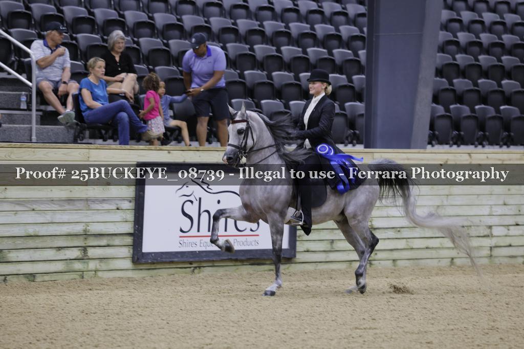 Proof Number 25BUCKEYE_08739