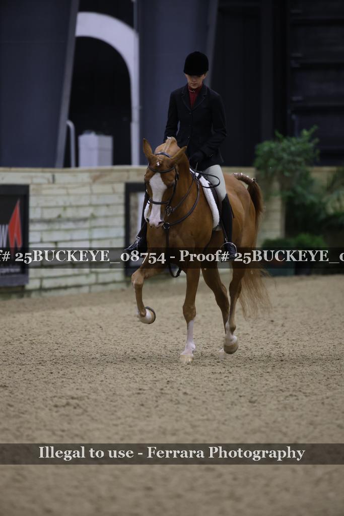 Proof Number 25BUCKEYE_08754
