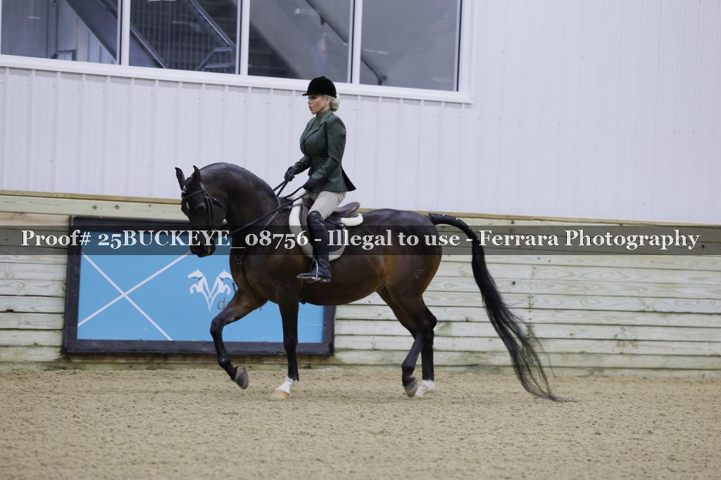 Proof Number 25BUCKEYE_08756