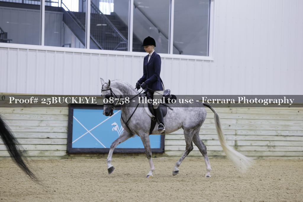 Proof Number 25BUCKEYE_08758