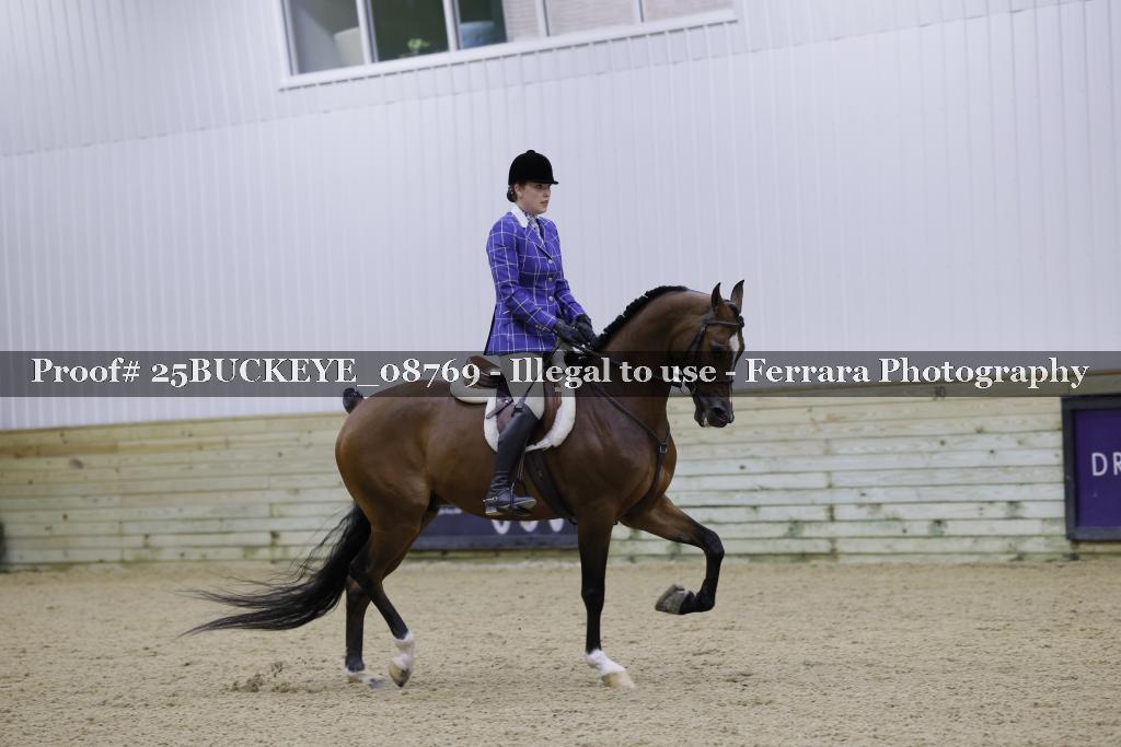Proof Number 25BUCKEYE_08769
