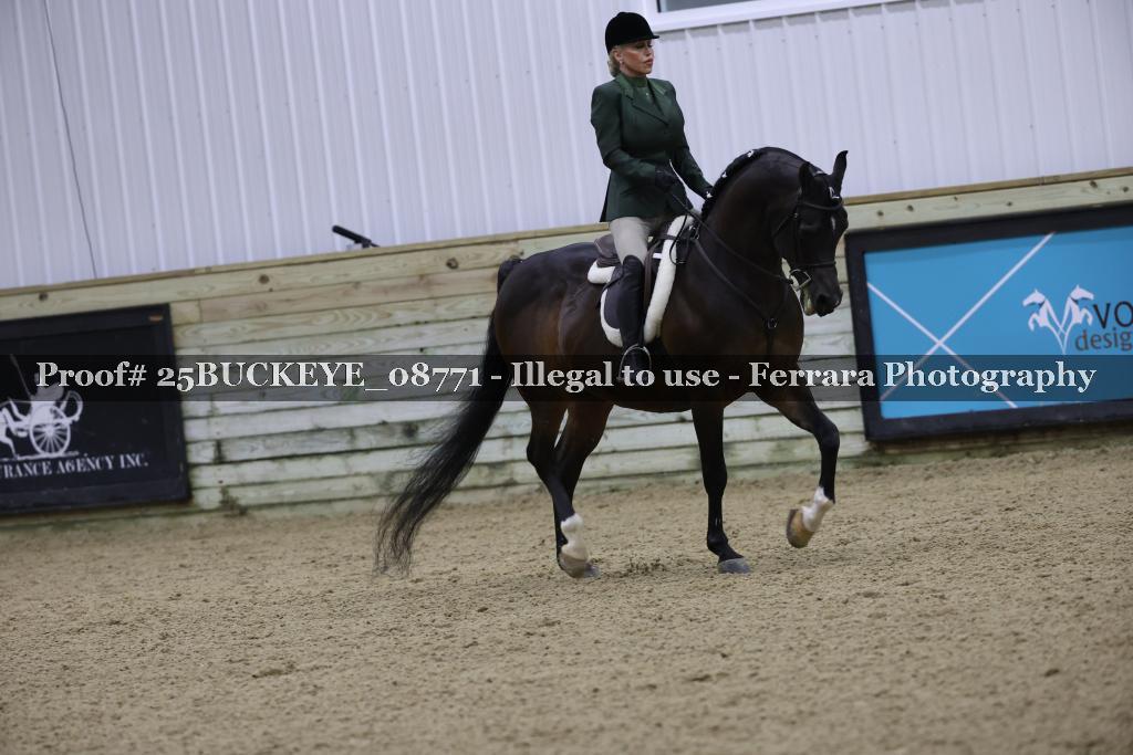 Proof Number 25BUCKEYE_08771