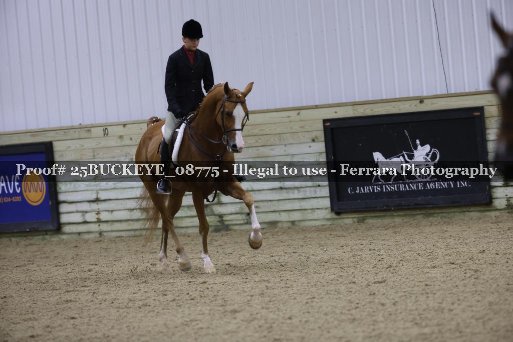 Proof Number 25BUCKEYE_08775