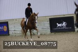 25BUCKEYE_08775 thumbnail