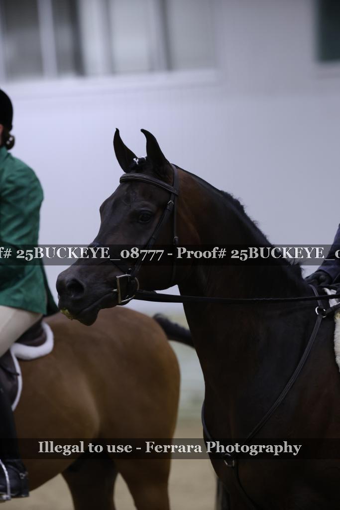 Proof Number 25BUCKEYE_08777