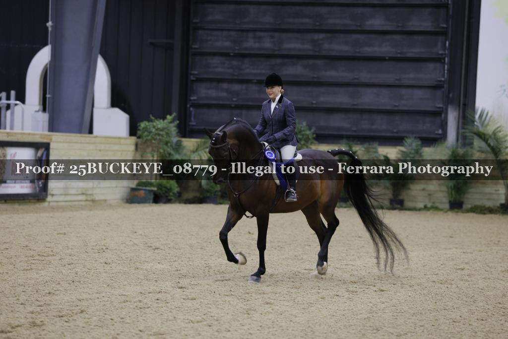 Proof Number 25BUCKEYE_08779