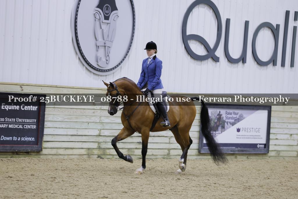 Proof Number 25BUCKEYE_08788