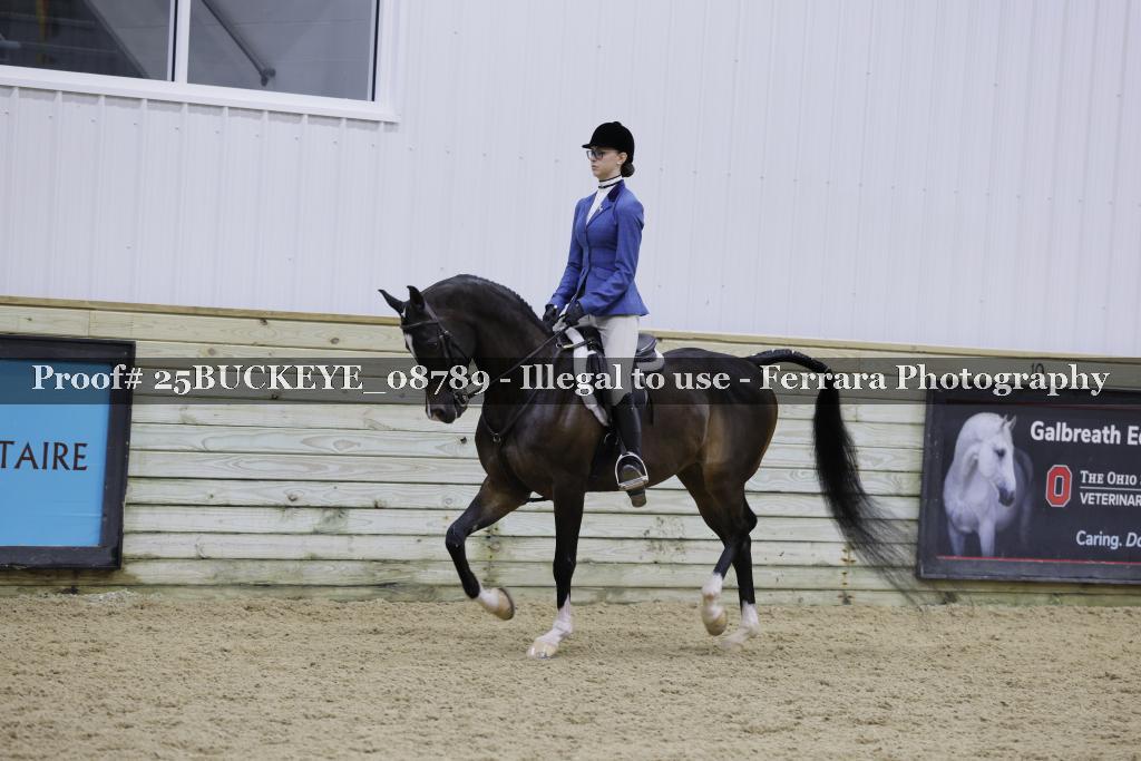 Proof Number 25BUCKEYE_08789
