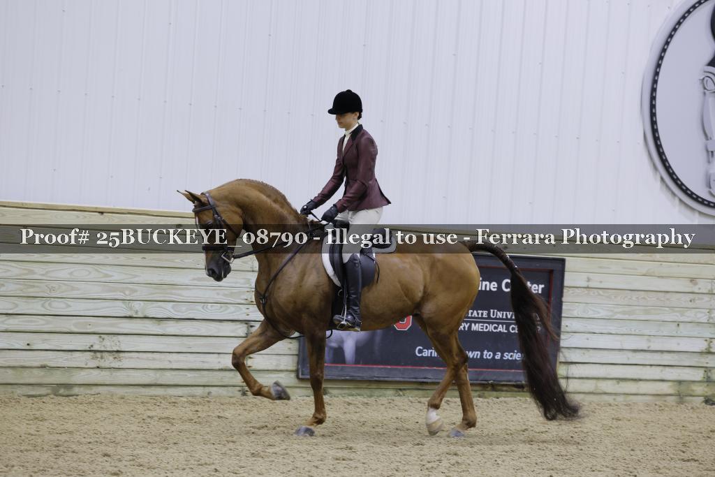 Proof Number 25BUCKEYE_08790