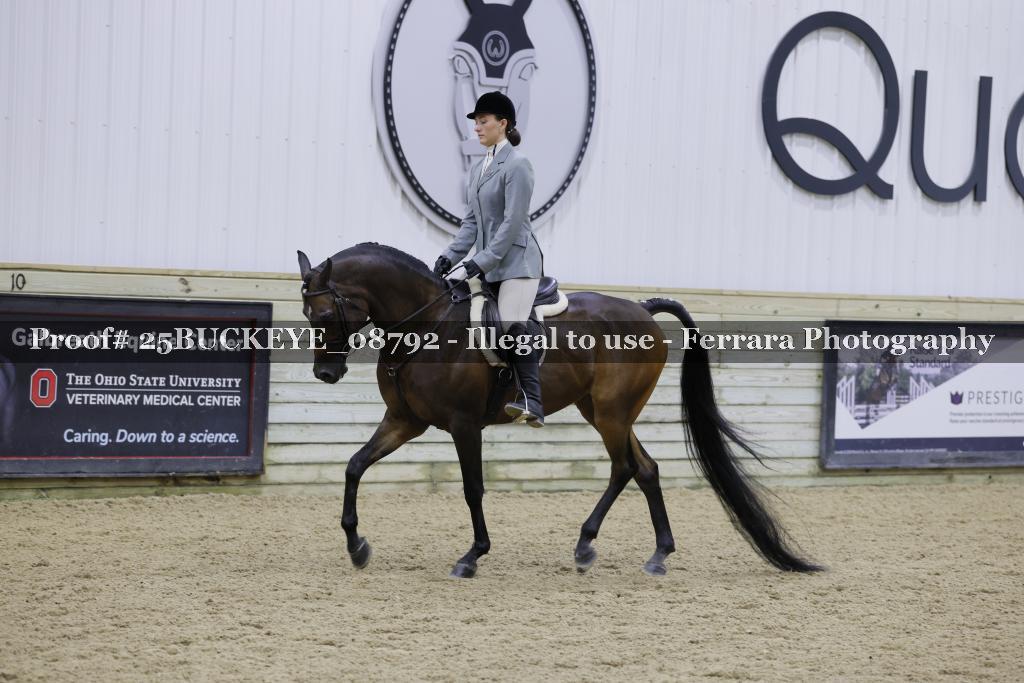 Proof Number 25BUCKEYE_08792
