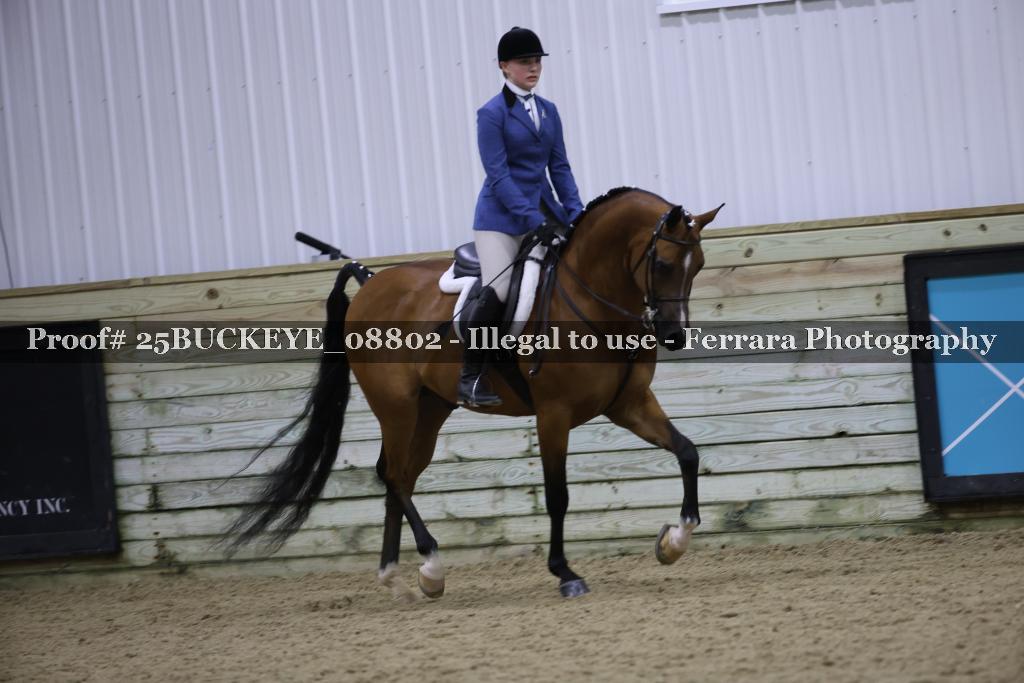 Proof Number 25BUCKEYE_08802