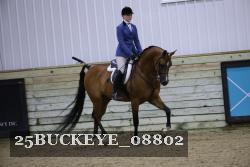 25BUCKEYE_08802 thumbnail