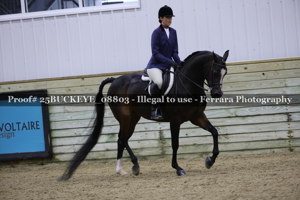 Proof Number 25BUCKEYE_08803