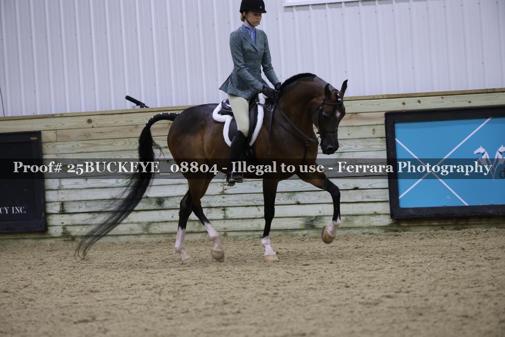 Proof Number 25BUCKEYE_08804