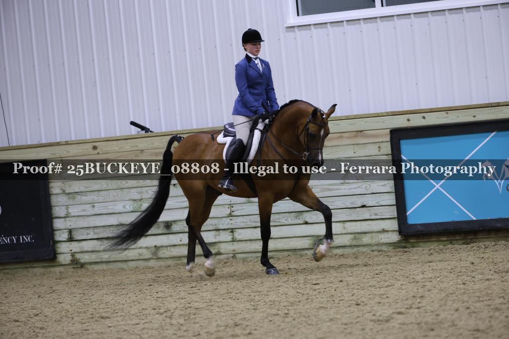 Proof Number 25BUCKEYE_08808