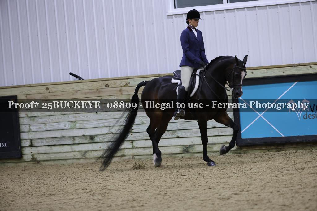 Proof Number 25BUCKEYE_08809