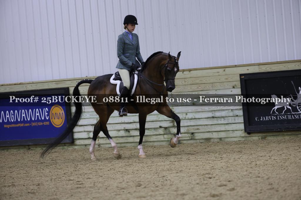 Proof Number 25BUCKEYE_08811