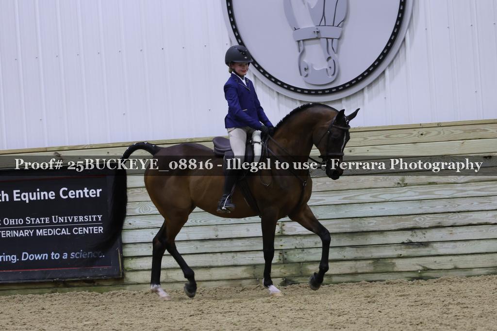 Proof Number 25BUCKEYE_08816