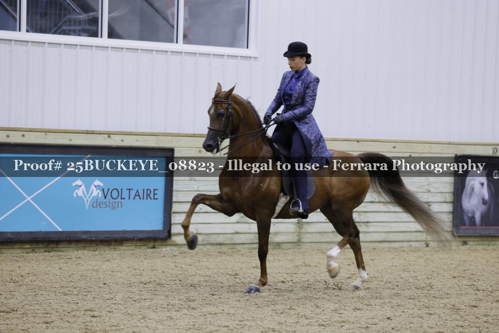 Proof Number 25BUCKEYE_08823