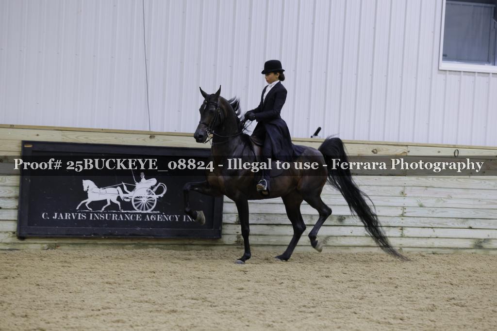 Proof Number 25BUCKEYE_08824